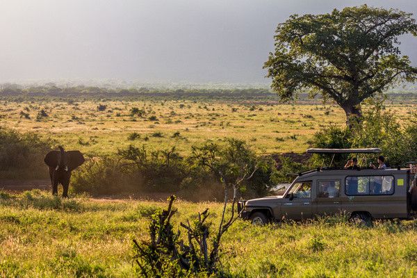Combiné circuit et Hôtel Neptune Village 4* avec 1 nuit Tsavo Est pas cher photo 6