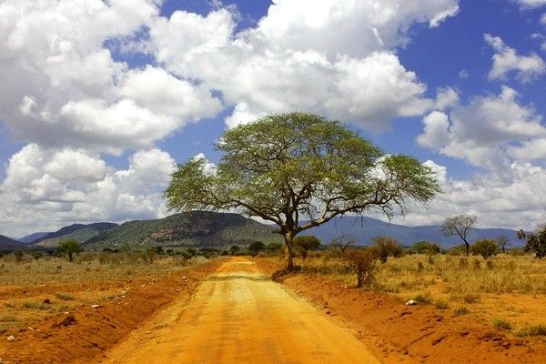 Combiné circuit et hôtel Neptune Paradise Beach Resort & Spa 4* avec 1 nuit Tsavo Est pas cher photo 6