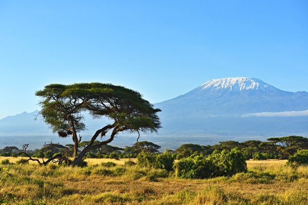 Combiné circuit et hôtel Neptune Village 4* avec 3 nuits Tsavo Ouest / Amboseli / Tsavo Est pas cher photo 5