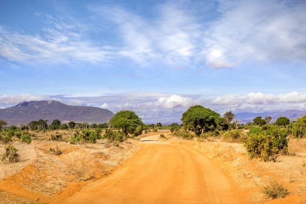 Combiné circuit et hôtel Neptune Village 4* avec 3 nuits Tsavo Ouest / Amboseli / Tsavo Est pas cher photo 6