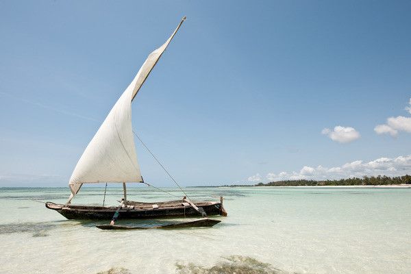 Combiné circuit et hôtel Neptune Village 4* avec 3 nuits Tsavo Ouest / Amboseli / Tsavo Est pas cher photo 9