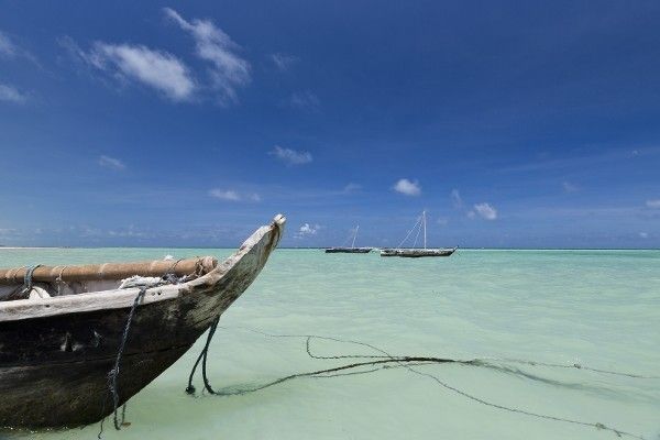 Combiné circuit et hôtel Neptune Paradise Beach Resort & Spa 4* avec 3 nuits au parc Tsavo Ouest / A pas cher photo 9