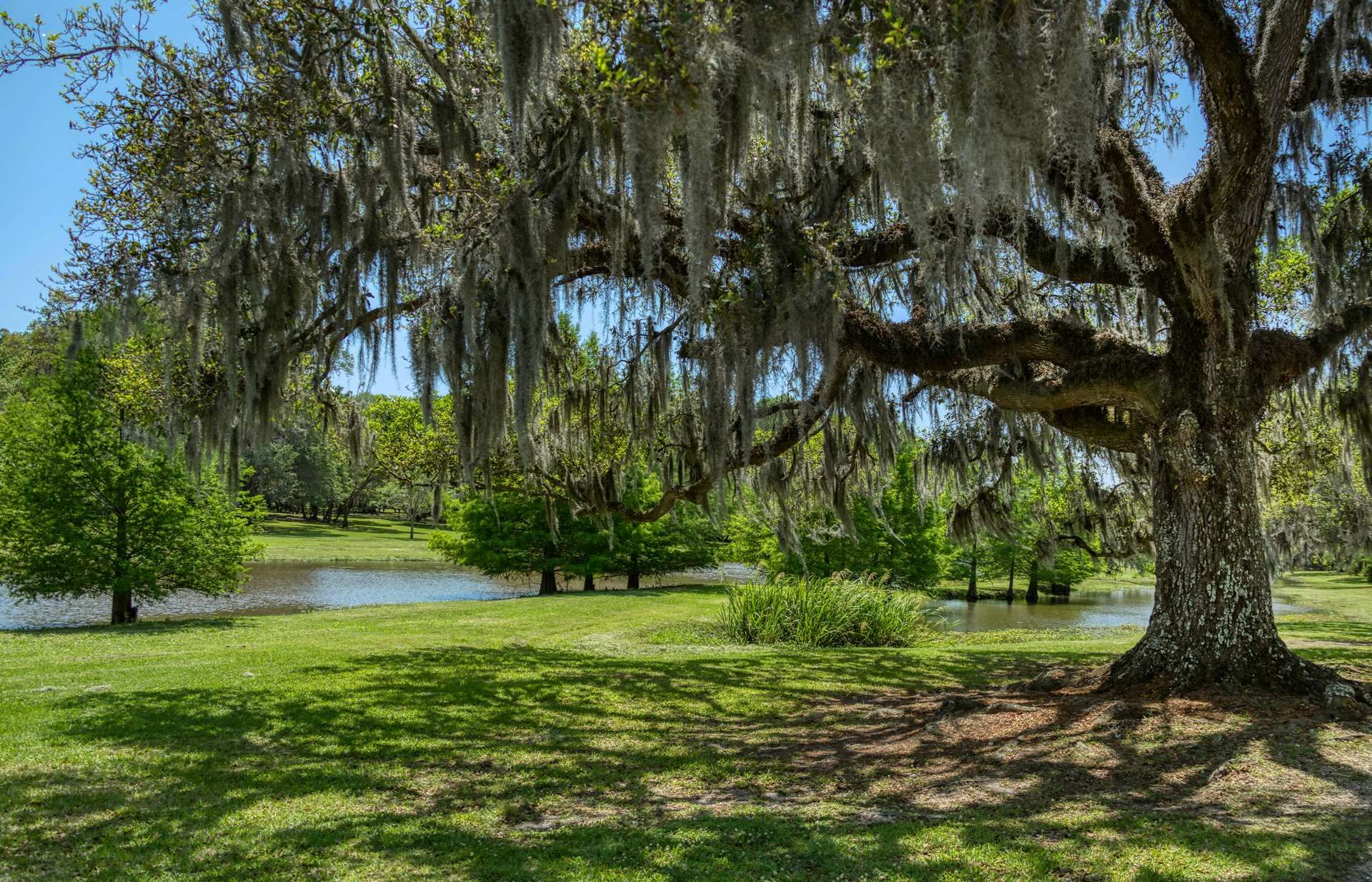 Texas-Louisiane Intimiste - 14J/12N pas cher photo 7