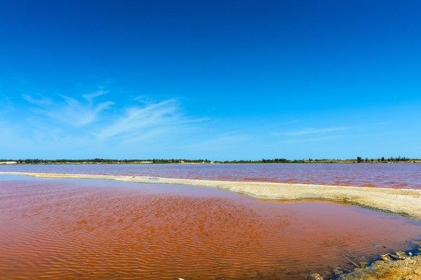 Circuit Au coeur du Sénégal et ses mangroves 3* pas cher photo 8