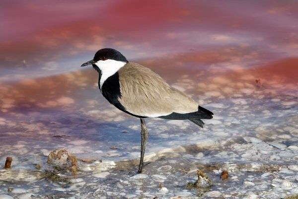 Circuit Authentique Sénégal, pays de la Teranga pas cher photo 2