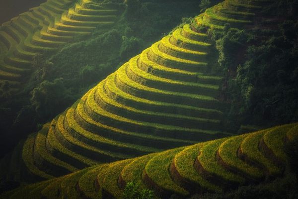 Circuit Lotus du Vietnam et Delta du Mékong pas cher photo 15