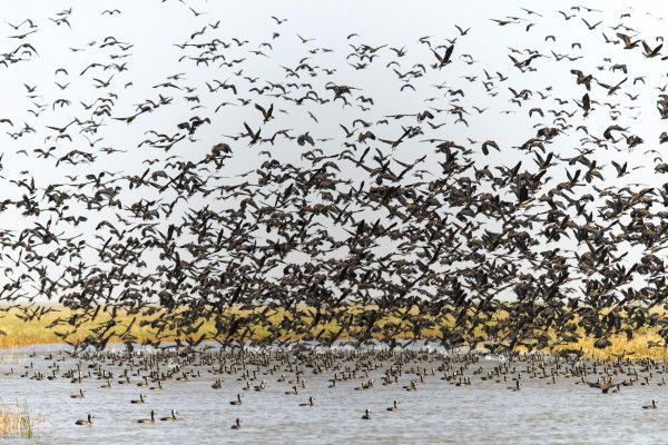 Circuit Trésors du Sénégal pas cher photo 7