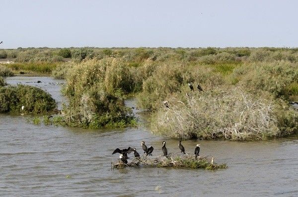 Circuit Trésors du Sénégal pas cher photo 8