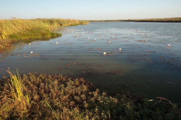 Circuit Trésors du Sénégal pas cher photo 9