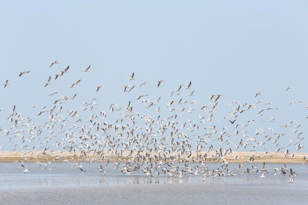 Circuit Trésors du Sénégal pas cher photo 10