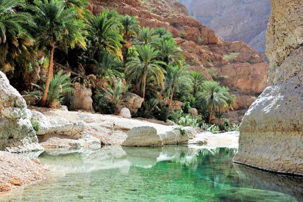 Circuit Toutes les richesses d'Oman 4* pas cher photo 8