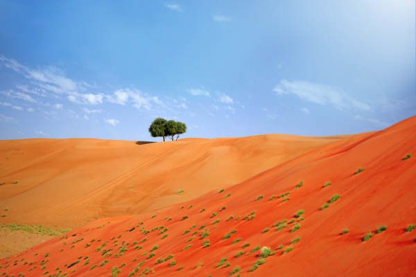 Circuit Toutes les richesses d'Oman 4* pas cher photo 11