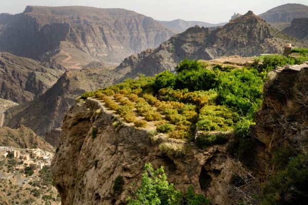 Circuit Toutes les richesses d'Oman 4* pas cher