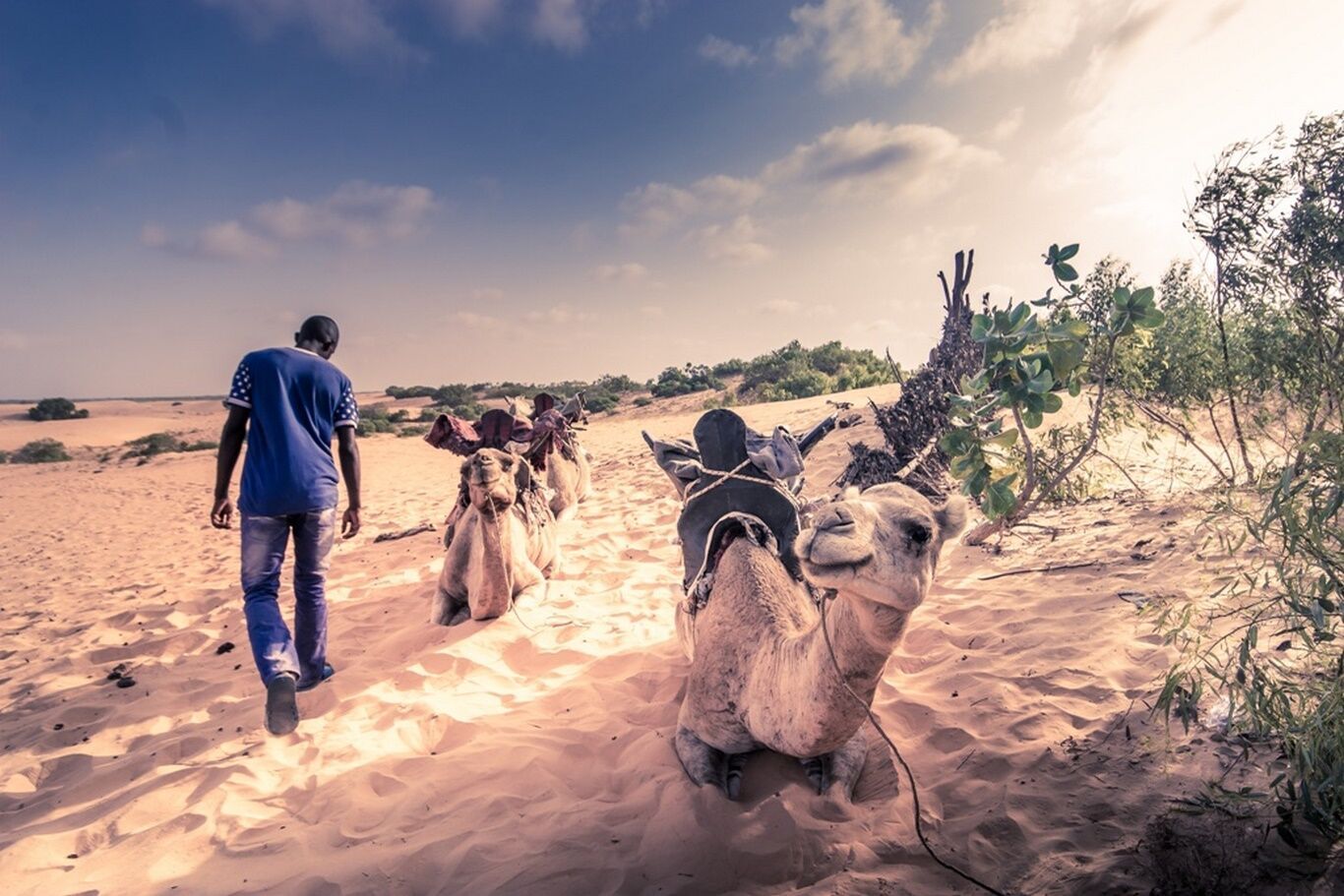 Sénégal Authentique 9J/7N - Départ les vendredis pas cher photo 7