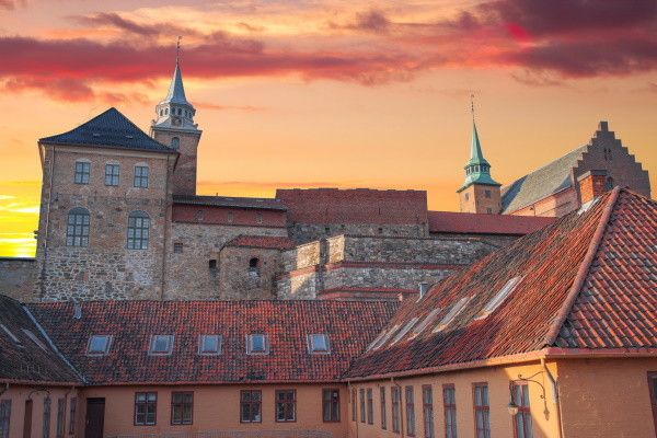 Circuit Féérie hivernale au coeur des fjords norvégiens pas cher photo 1