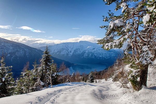 Circuit Féérie hivernale au coeur des fjords norvégiens pas cher photo 3