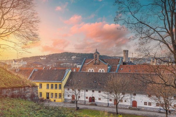 Circuit Féérie hivernale au coeur des fjords norvégiens pas cher photo 5