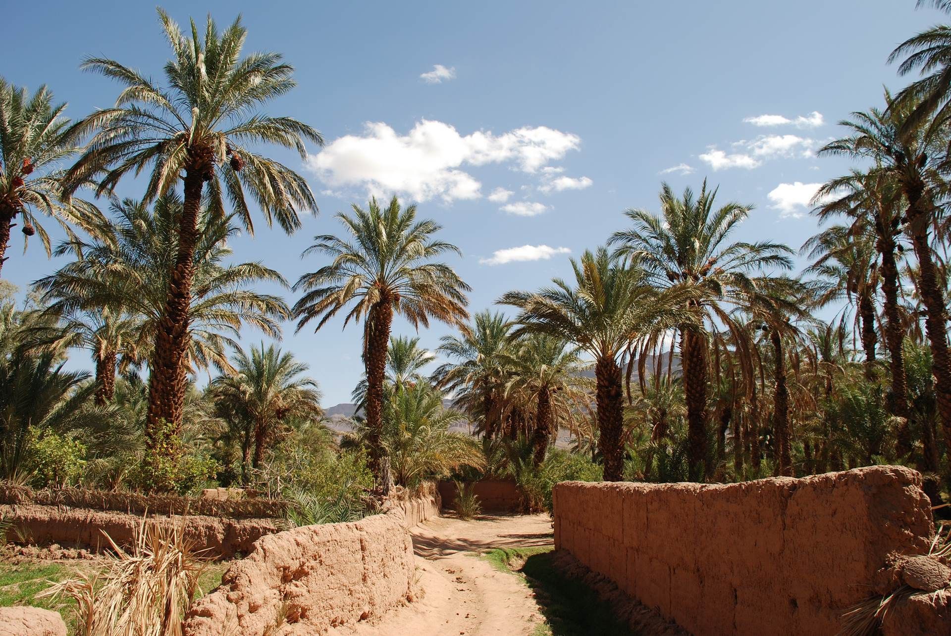 GRAND SUD ET KASBAH EN 3 ETOILES - 8J/7N pas cher photo 2