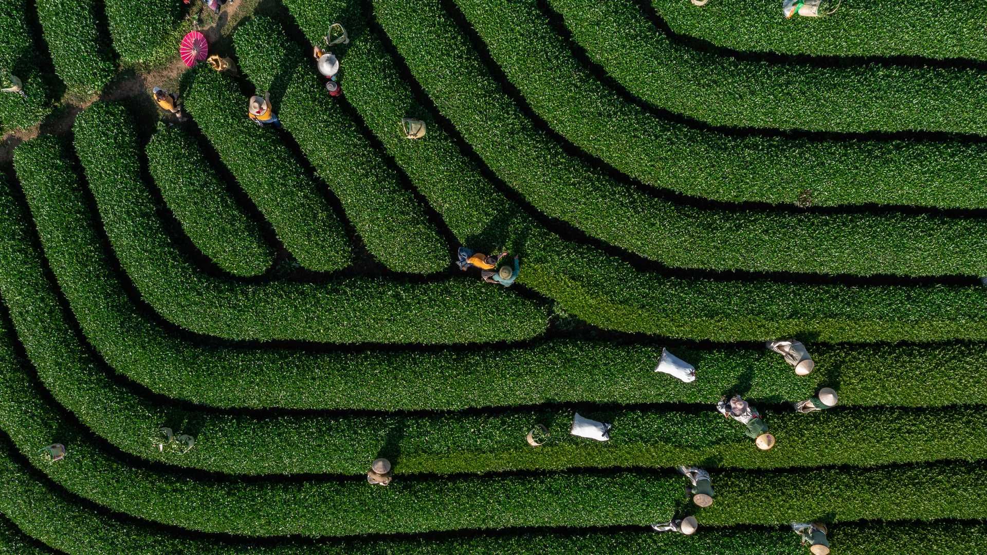 Vietnam Intimiste ext. Mui Ne 20J/17N - Limité à 16 pers. pas cher photo 6