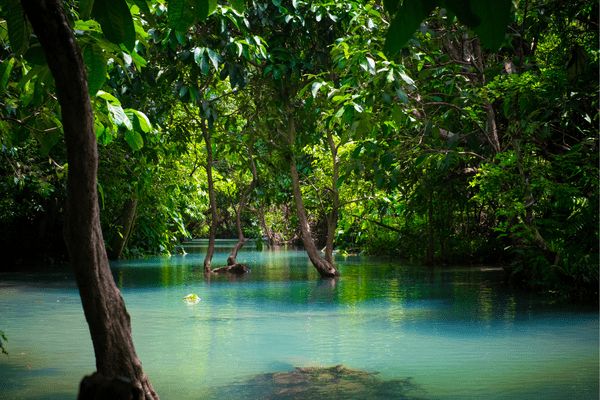 Circuit Laos, Cambodge, Vietnam, Grand Panorama d'Indochine et plage à Ho Tram pas cher photo 10