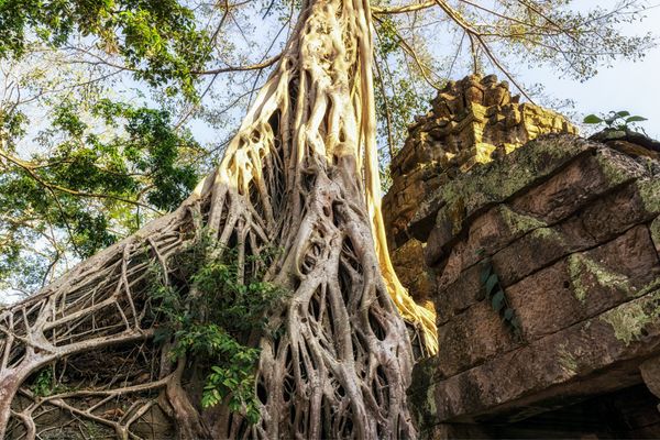 Circuit Laos, Cambodge, Vietnam, Grand Panorama d'Indochine et plage à Ho Tram pas cher photo 23