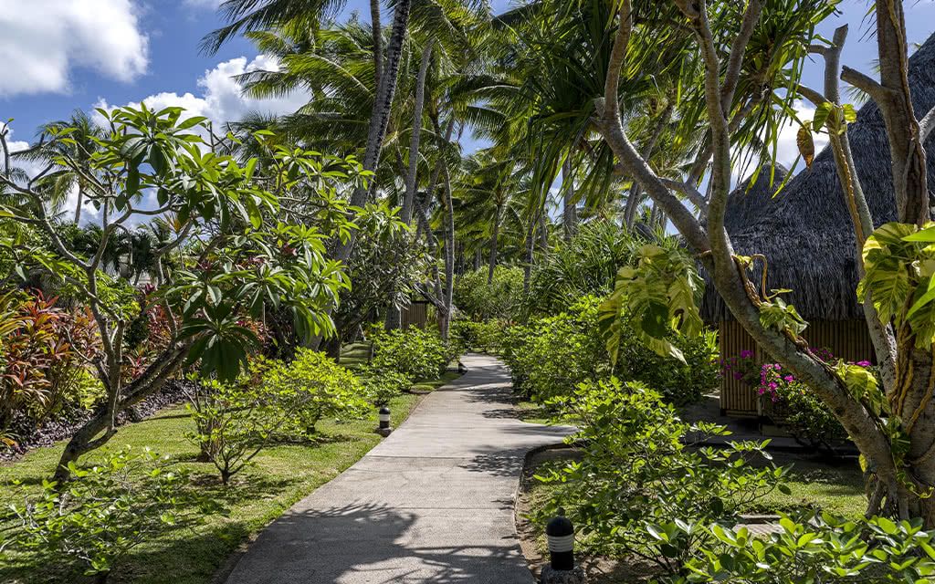Combiné 3 îles Polynésie INTERCONTINENTAL 09 Nuits : Tahiti + Moorea + Bora Bora 3* pas cher photo 4