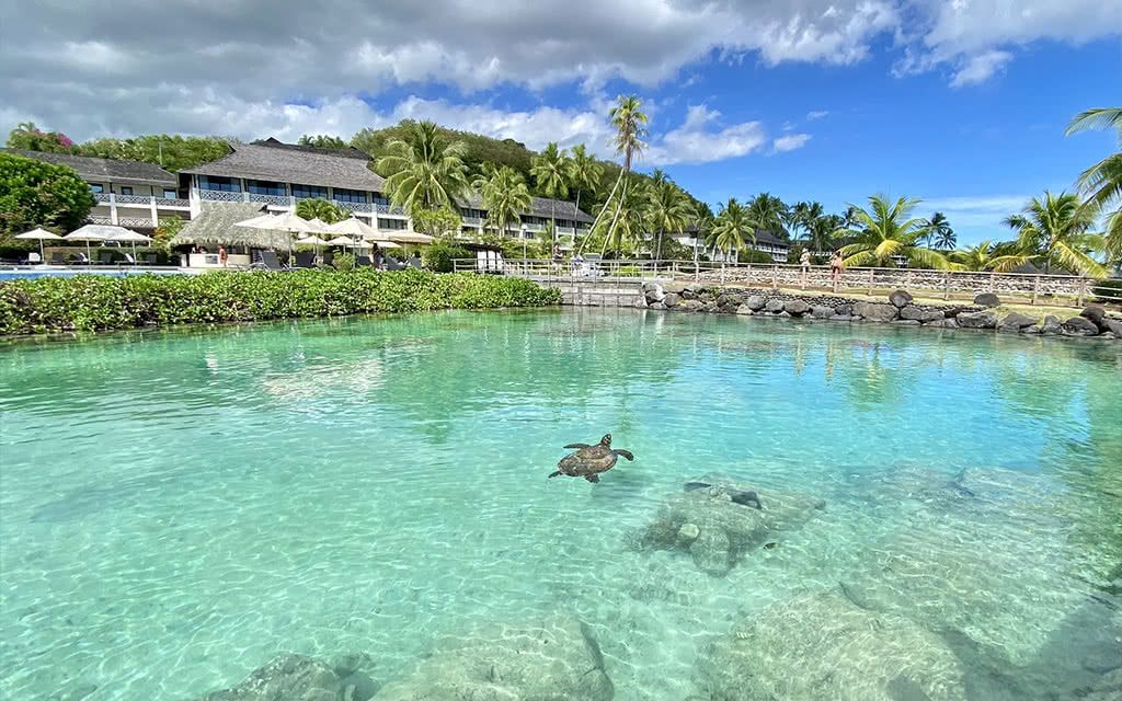 Combiné 3 îles Polynésie INTERCONTINENTAL 09 Nuits : Tahiti + Moorea + Bora Bora 3* pas cher photo 8