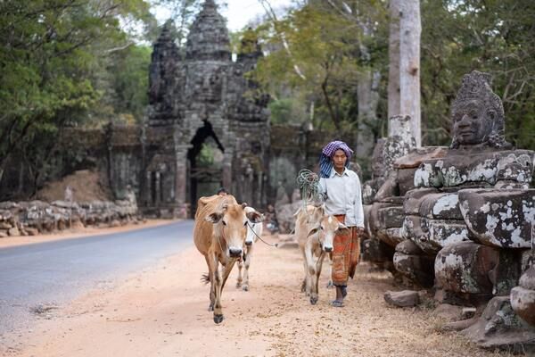 Circuit Du Laos Authentique aux Temples d'Angkor pas cher photo 1