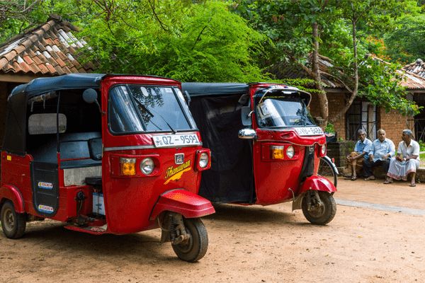 Circuit Merveilles du Sri Lanka 3* en Privatif pas cher photo 9