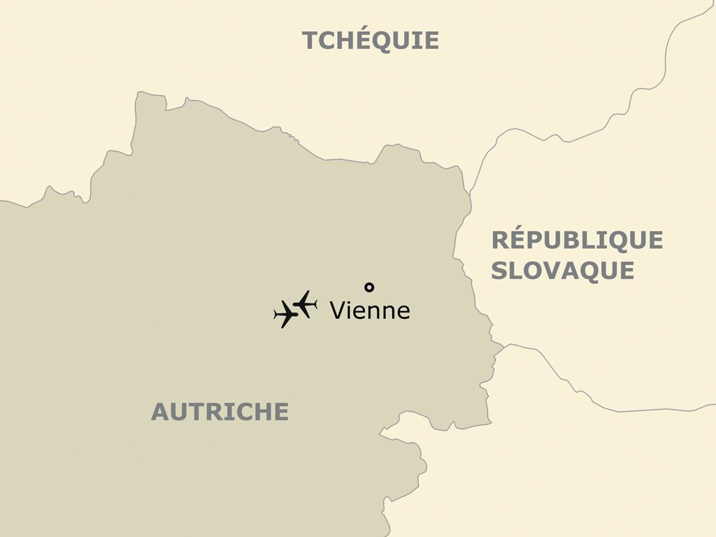 Nouvel An à Vienne - Hôtel Sporthotel Vienna 4* - Réveillon à l'hôtel de ville - Formule évasion pas cher photo 16