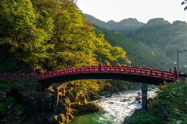 Circuit Au Coeur du Japon, Authentique et Insolite, Nikko et Tokyo en Liberté pas cher photo 2