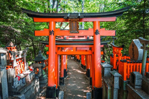 Circuit Japon d'Hier et d'Aujourd'hui, Kyoto et Tokyo en Liberté 3* pas cher photo 14