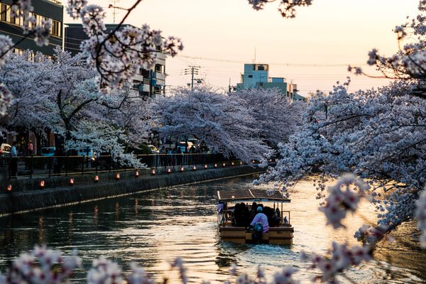 Circuit Japon d'Hier et d'Aujourd'hui, Kyoto et Tokyo en Liberté 3* pas cher photo 15