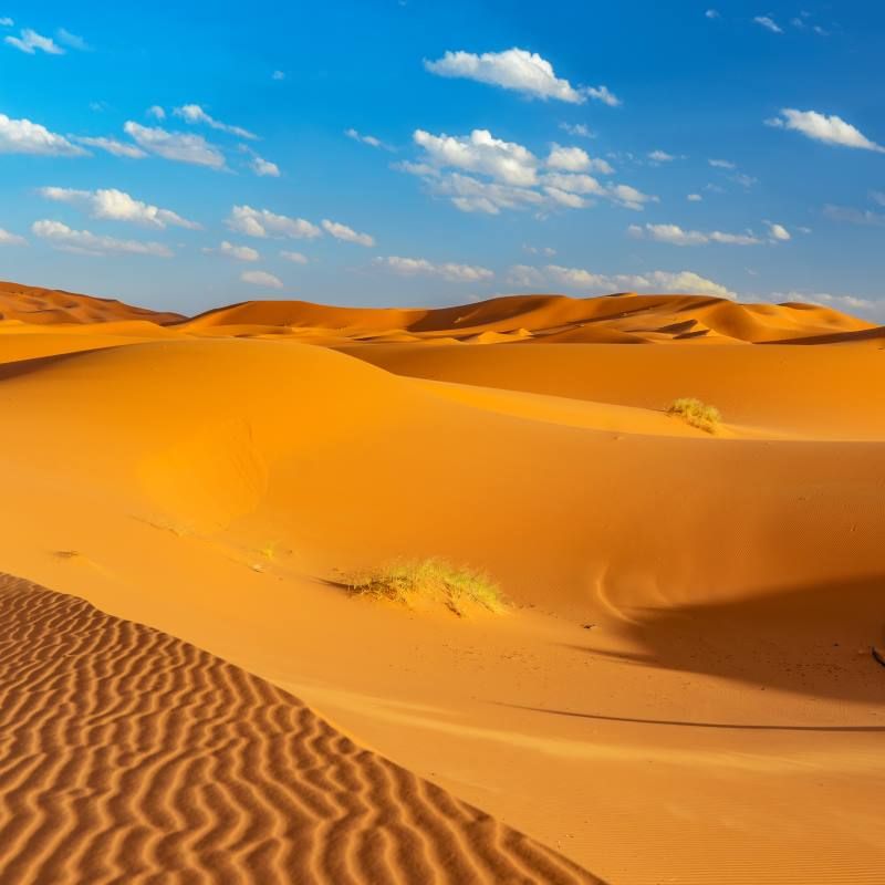 Circuit Joyaux du Maroc - Merzouga pas cher photo 10