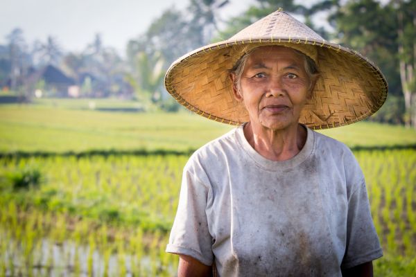 Circuit Balade Authentique du Volcan Ijen aux Rizières de Bali pas cher photo 7