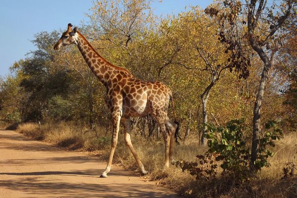 Circuit Privatif Les Trésors du Pays Arc-en-Ciel pas cher photo 14