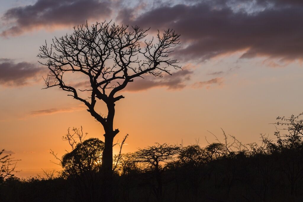 L'Afrique du Sud Intimiste, Chutes Victoria & Parc Chobe - 17J/14N Limité à 16 pers. (sauf sur la pa pas cher photo 10