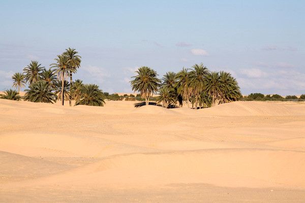 Circuit Sensations dans le sud tunisien en 4x4 4* pas cher photo 13