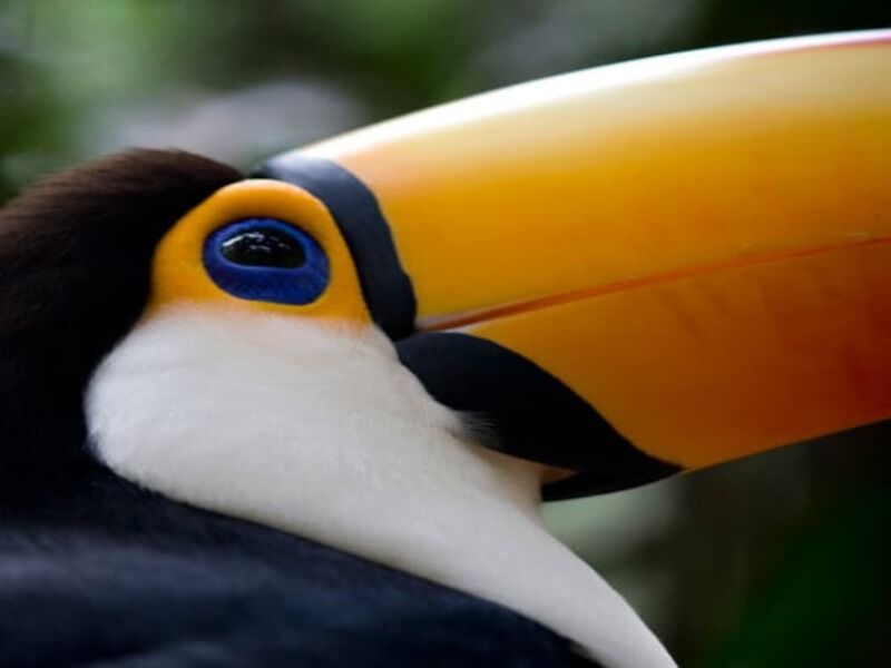 Circuit Immersion en Argentine 3*-4* pas cher photo 12