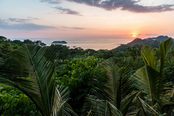 Circuit Safari au Pays de l'Or Noir et plage de Manuel Antonio 3* pas cher photo 22