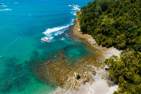 Circuit Safari au Pays de l'Or Noir et plage de Manuel Antonio 3* pas cher photo 23