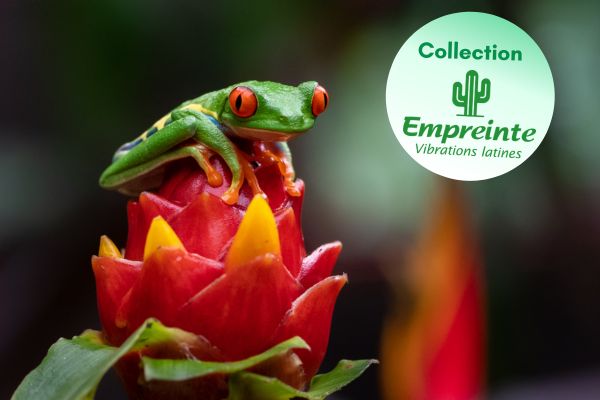 Circuit Safari au Pays de l'Or Noir et plage de Tambor 4* pas cher photo 2