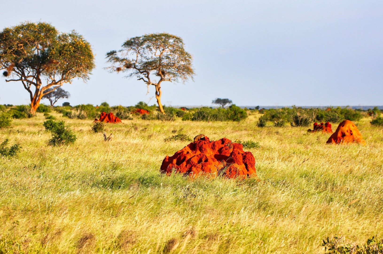 Découvertes Kenyanes - 12J/9N pas cher photo 5