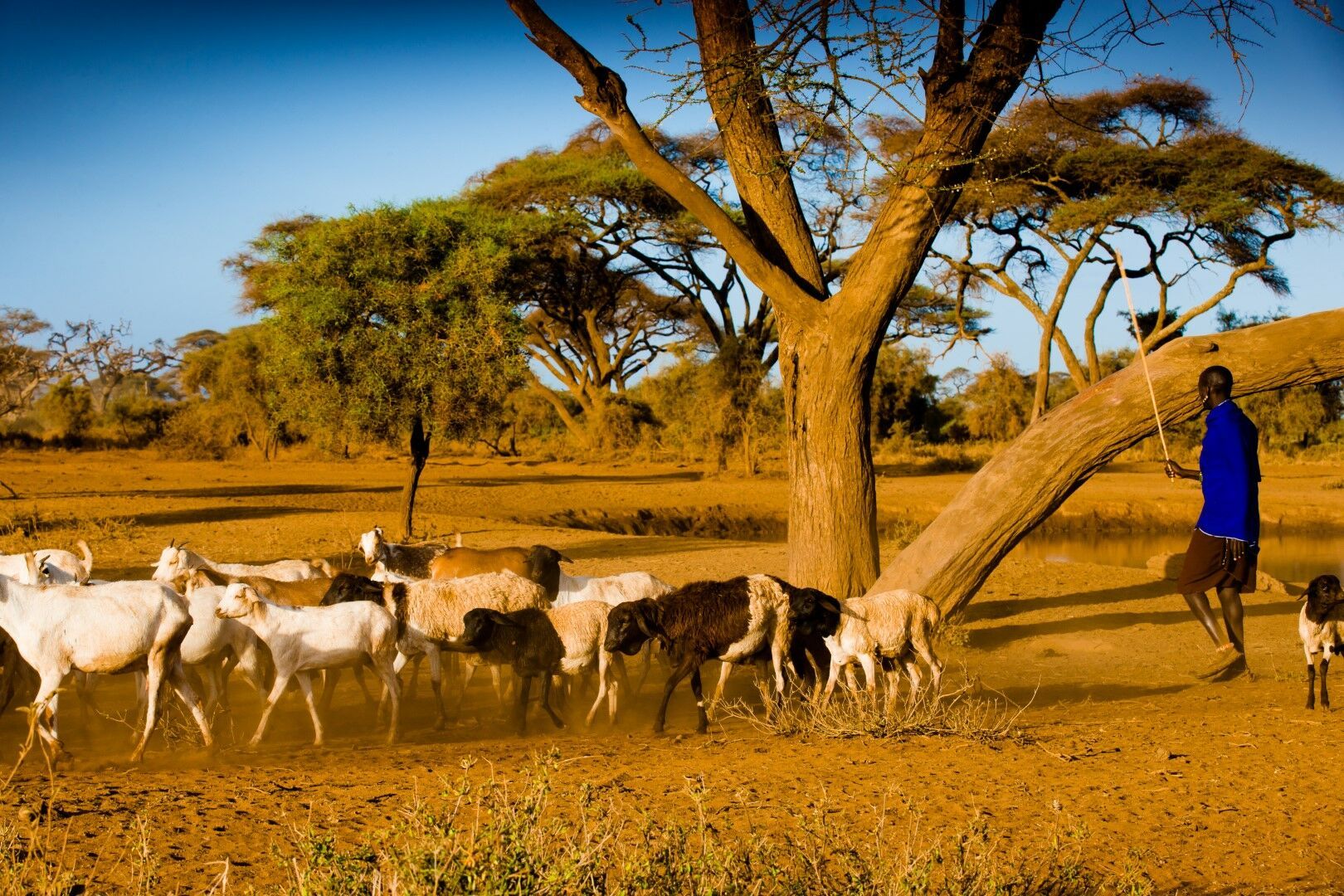 Découvertes Kenyanes - 12J/9N pas cher photo 8