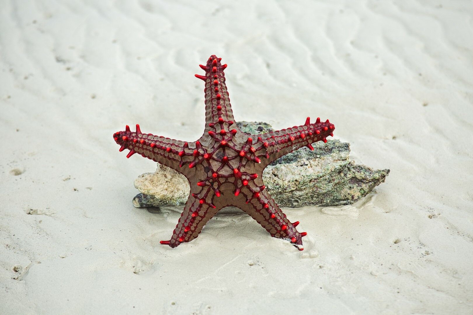 Découvertes Kenyanes - 12J/9N pas cher photo 10