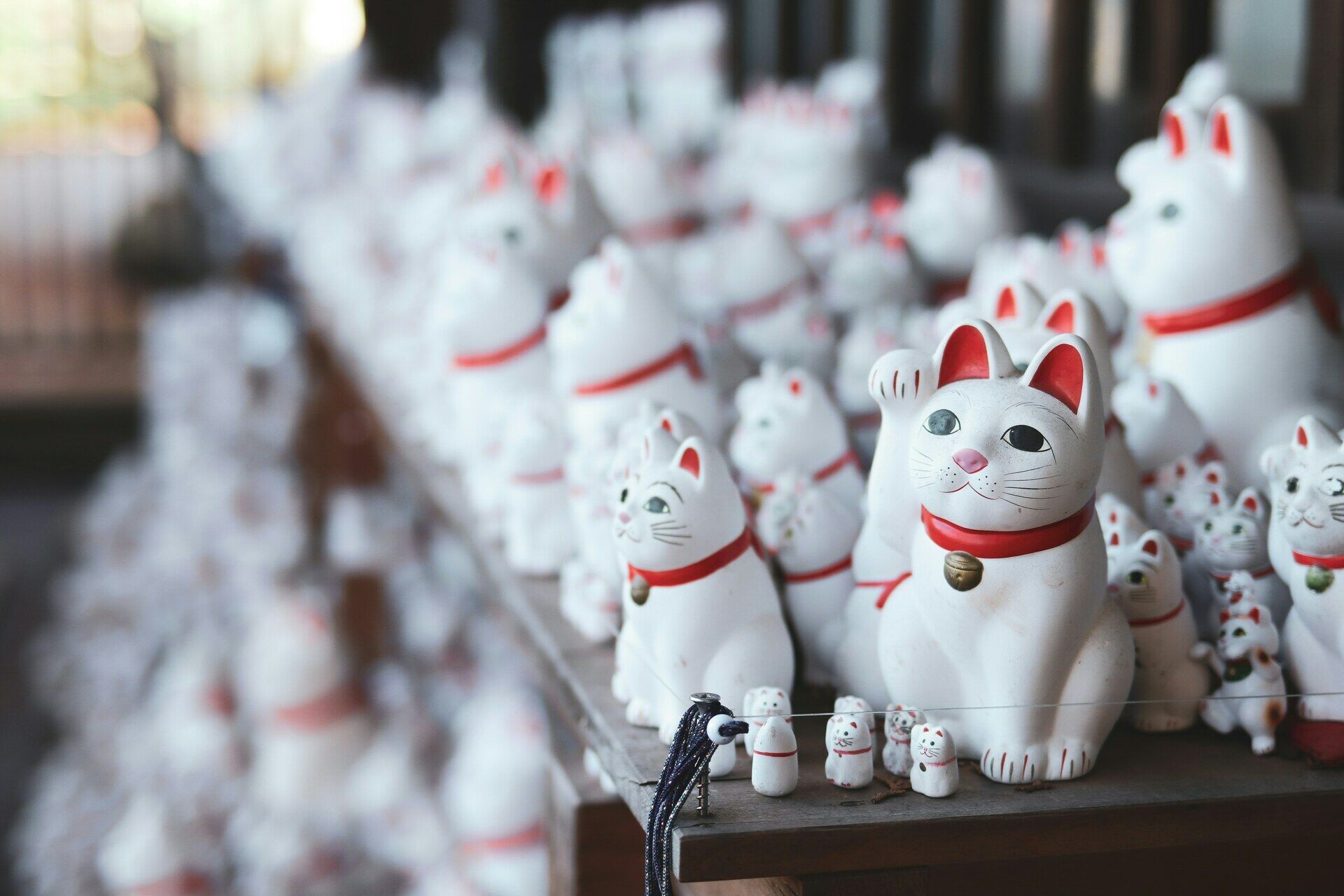 Combiné Tokyo Kyoto en 3* ou 4* pas cher photo 1