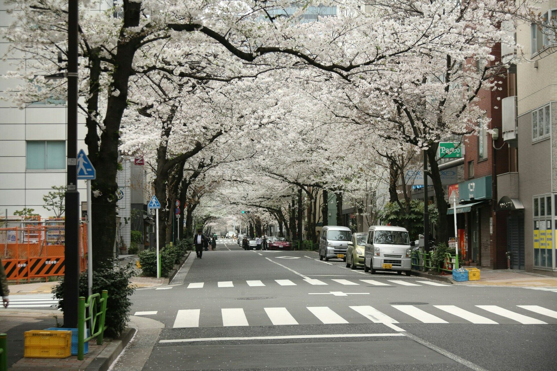 Combiné Tokyo Kyoto en 3* ou 4* pas cher photo 10