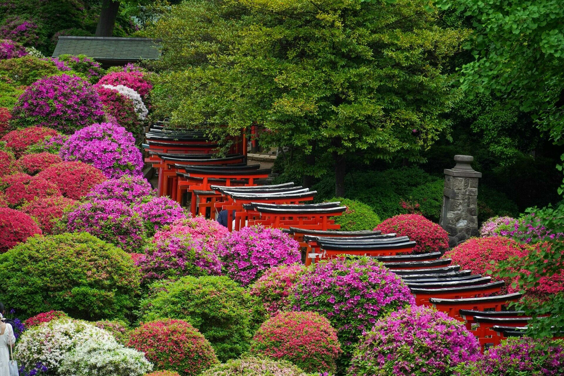 Circuit Le Japon d'Est en Ouest 3* ou 4* pas cher photo 10