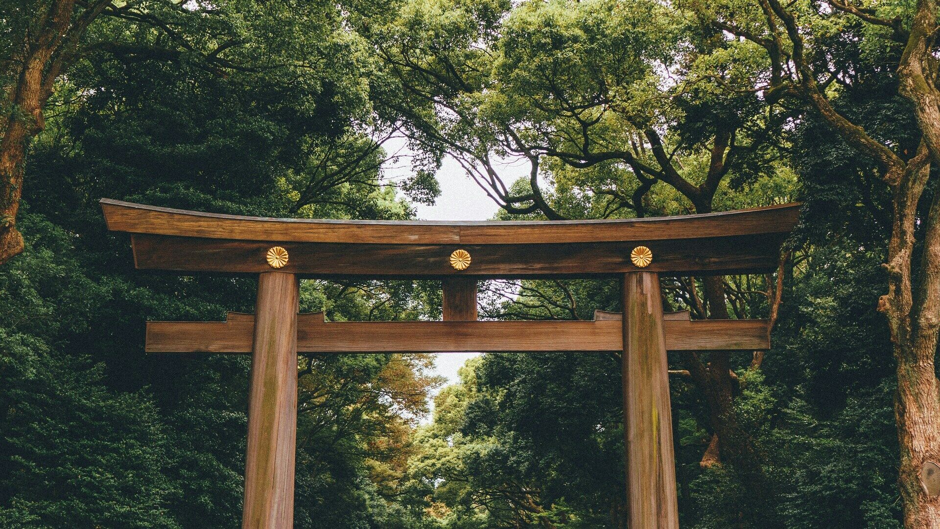 Circuit Le Japon d'Est en Ouest 3* ou 4* pas cher photo 18