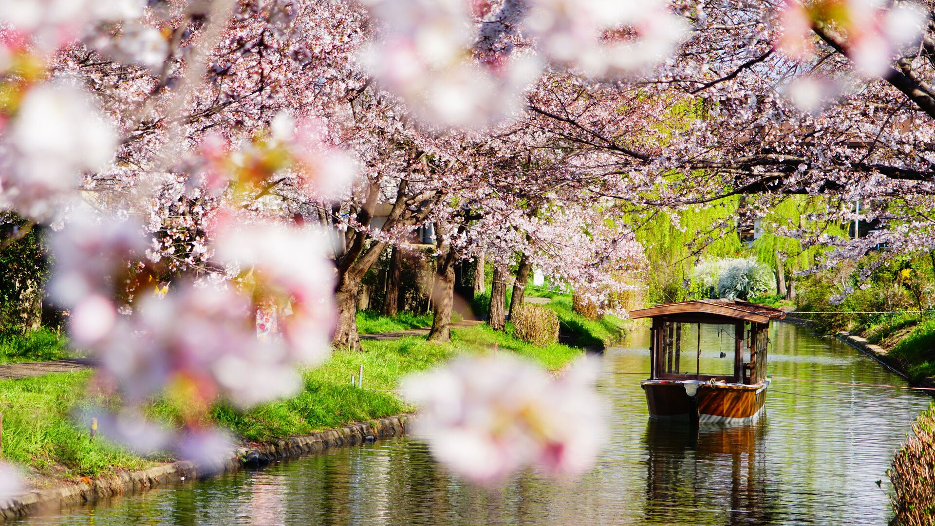 Circuit Intensément Japon 3* pas cher photo 2